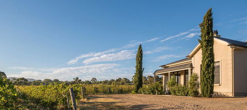 Barossa Shiraz Estate - Accommodation in Brisbane 13