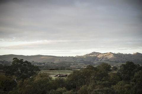 Novotel Barossa Valley Resort - Accommodation in Brisbane 23