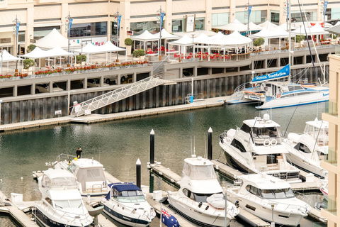 Beachside Luxury & Comfort, Ocean Views In Glenelg - Accommodation in Brisbane 6