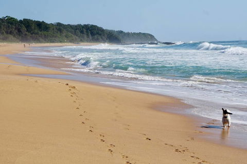 Culburra Beachhouse - Accommodation in Brisbane 7