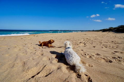 Culburra Beachhouse - Accommodation in Brisbane 8