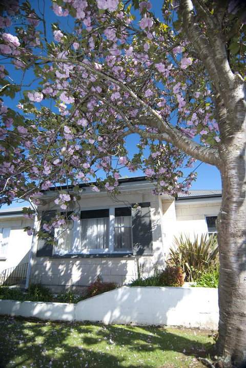 The Commodore - Accommodation in Brisbane 14