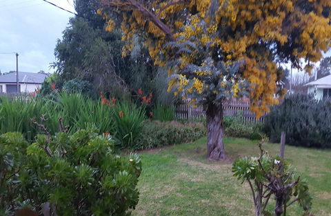 Ruby\'s Cottage - Accommodation in Brisbane 19