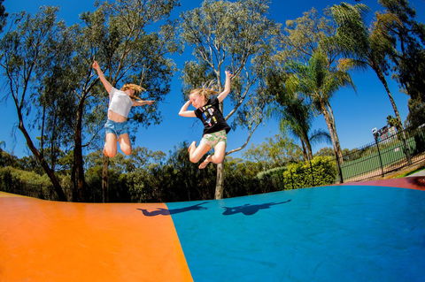 BIG4 Renmark Riverfront Holiday Park - Accommodation in Brisbane 37