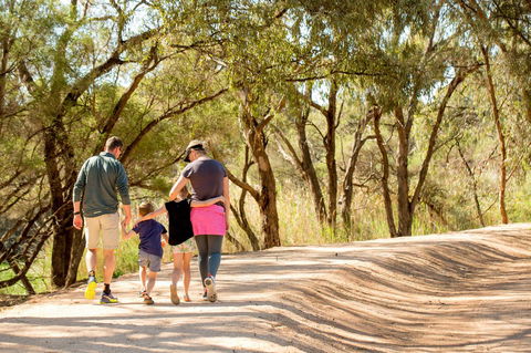 BIG4 Renmark Riverfront Holiday Park - Accommodation in Brisbane 13