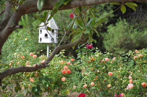 The Lyndoch Motel - Accommodation in Brisbane 2