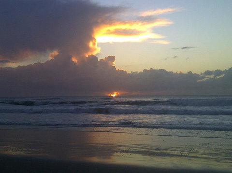 Byron Bay Guest - Accommodation in Brisbane 1