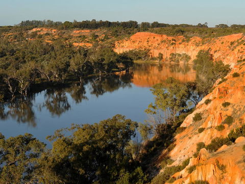 Echo Holiday Parks - Renmark - Accommodation in Brisbane 11