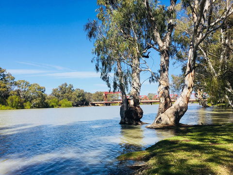 Echo Holiday Parks - Renmark - Accommodation in Brisbane 5