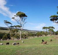 Lisieux Farm Bed and Breakfast - Accommodation in Brisbane
