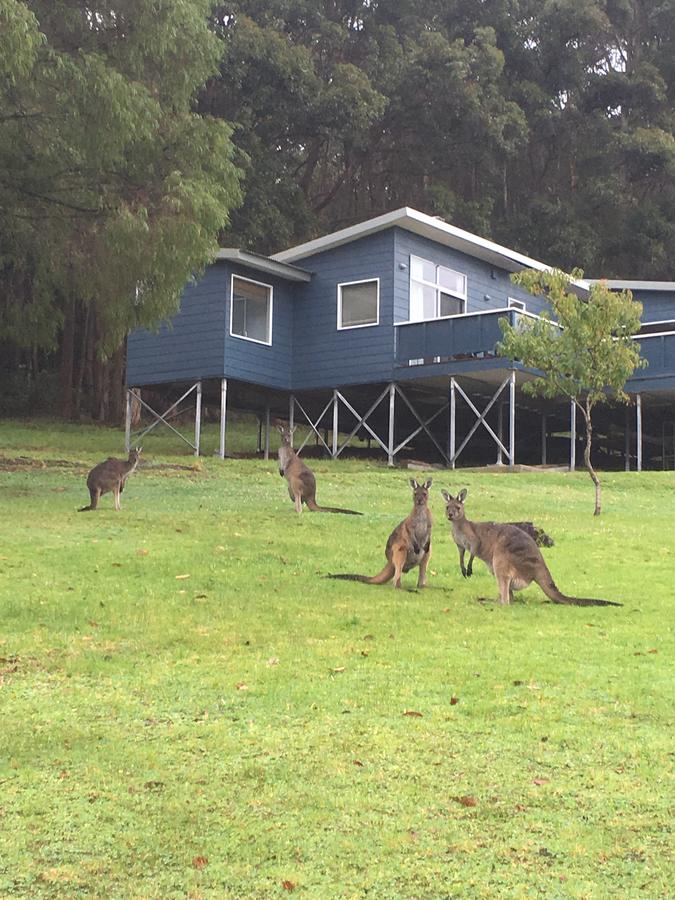  Accommodation in Brisbane