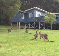 Blue House Denmark - Accommodation in Brisbane