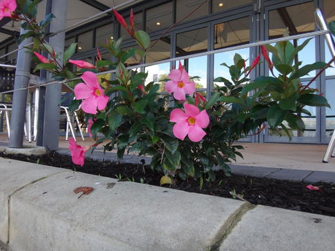 Mandurah Quay Resort - Accommodation in Brisbane 34