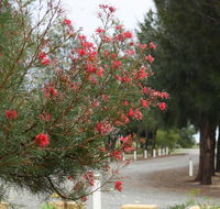 The Heights Bed  Breakfast - Accommodation in Brisbane