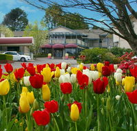Nesuto Leura Gardens formerly Waldorf Leura Gardens Resort - Accommodation in Brisbane
