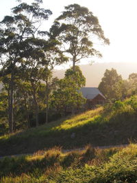 Book Bawley Point Accommodation Vacations Accommodation in Brisbane Accommodation in Brisbane