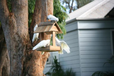 Huskisson Holiday Motel Cabins - Accommodation in Brisbane 29