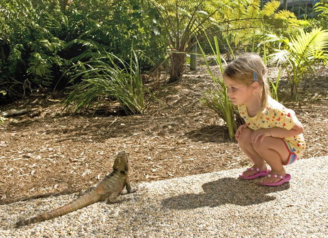 Flynns Beach Resort - Accommodation in Brisbane 16