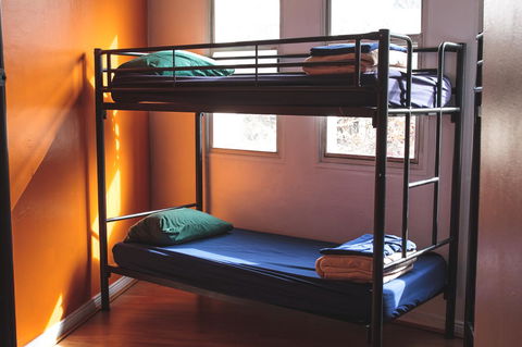 Mad Monkey Kings Cross - Accommodation in Brisbane 29