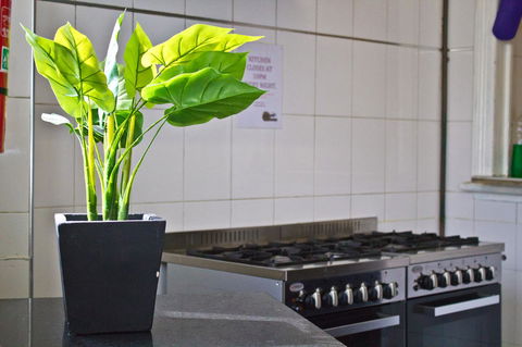 Mad Monkey Kings Cross - Accommodation in Brisbane 19