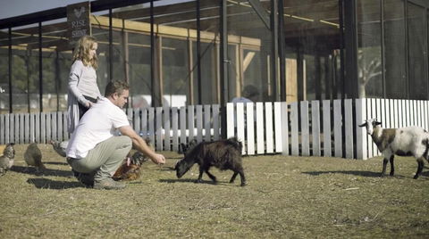 The Woods Farm Jervis Bay - Accommodation in Brisbane 14