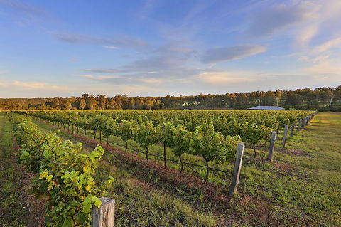 Ironstone Estate Lovedale - Accommodation in Brisbane 31