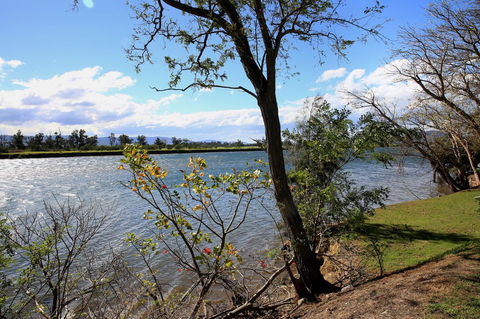 Terara Riverside Retreat - Accommodation in Brisbane 27