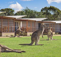 Discovery Parks  Pambula Beach - Accommodation in Brisbane