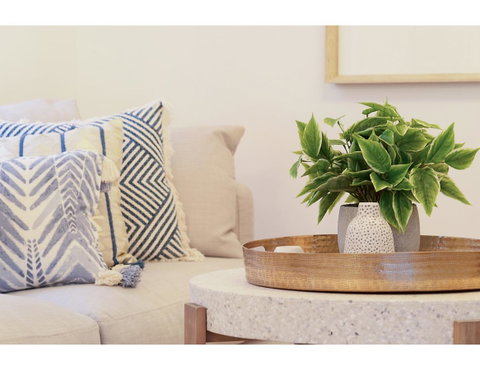 Huge Garden Apartment In The Heart Of Bondi Beach - Accommodation in Brisbane 16