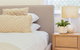Huge Garden Apartment In The Heart Of Bondi Beach - thumb 12