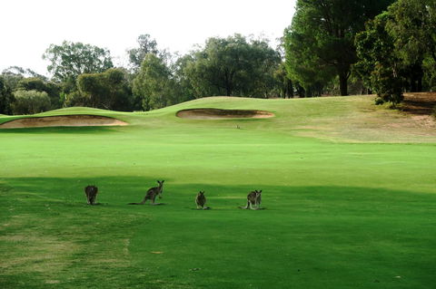 Mulwala Resort - Accommodation in Brisbane 40