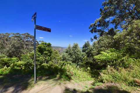 Dangal Gardens - Accommodation in Brisbane 30