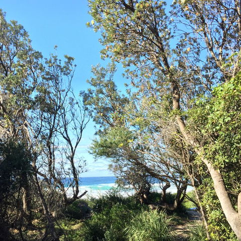 Salthouse Berrara - Accommodation in Brisbane 22
