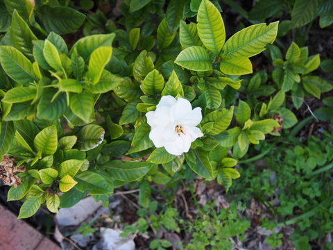 Bellevue Accommodation - Accommodation in Brisbane 21