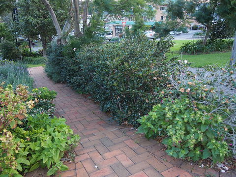 Bellevue Accommodation - Accommodation in Brisbane 22