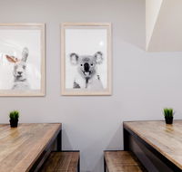 Mad Monkey Backpackers on Broadway - Accommodation in Brisbane