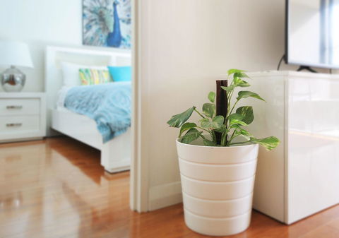 Sydney Apartment Close To Airport & CBD - Accommodation in Brisbane 7