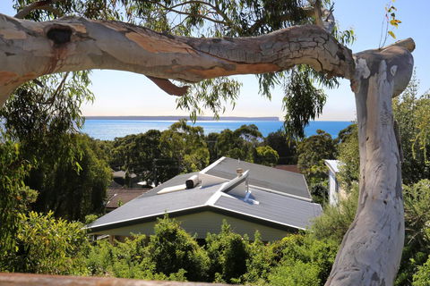 Seaglass - Stunning Views Of Jervis Bay - Accommodation in Brisbane 26