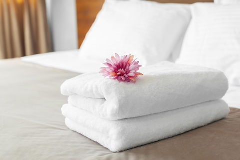 Luxury Home Hotel Next To Darling Harbour - Accommodation in Brisbane 15