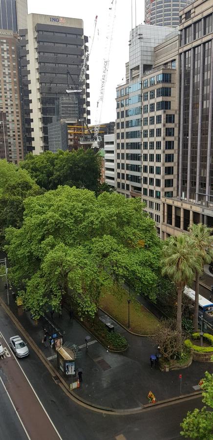 Madison Carrington Apartments - Accommodation in Brisbane 1