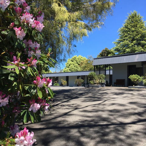 Sky Rider Motor Inn - Accommodation in Brisbane 14