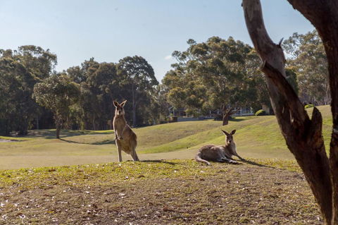 Horizons Retreat & Golf, Villa 133 - Accommodation in Brisbane 18