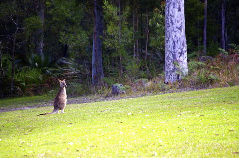 Jackson Ranch By Bannisters - Accommodation in Brisbane 31