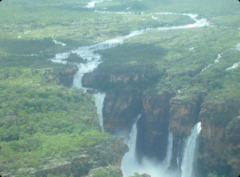 Mercure Kakadu Crocodile - Accommodation in Brisbane 33