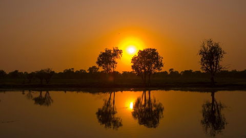 Mercure Kakadu Crocodile - Accommodation in Brisbane 26