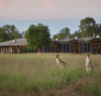Wildman Wilderness Lodge - Accommodation in Brisbane