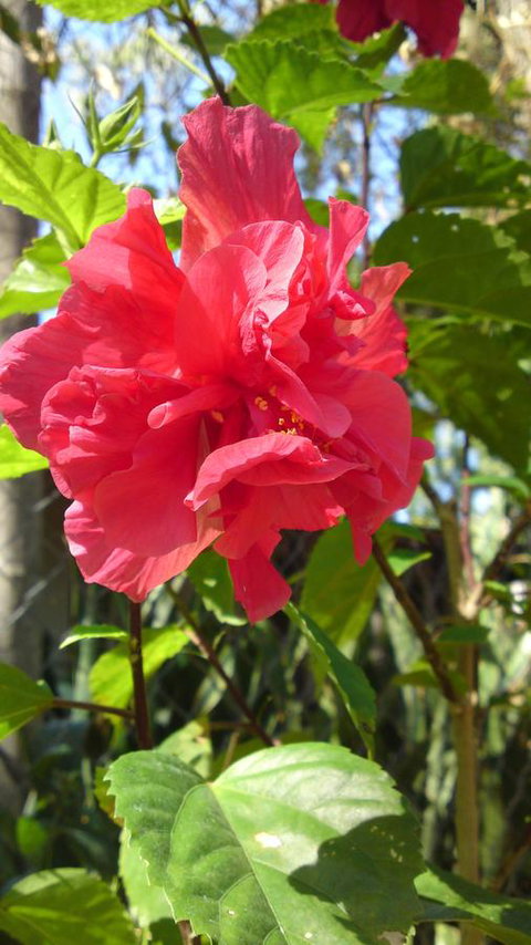 Darwin Beach Escape Holiday Home - Accommodation in Brisbane 24