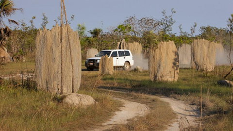 Darwin Beach Escape Holiday Home - Accommodation in Brisbane 40