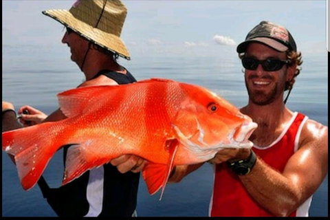 Darwin Beach Escape Holiday Home - Accommodation in Brisbane 39