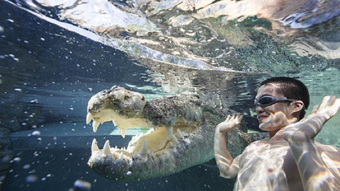 Darwin Beach Escape Holiday Home - Accommodation in Brisbane 33